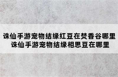 诛仙手游宠物结缘红豆在焚香谷哪里 诛仙手游宠物结缘相思豆在哪里